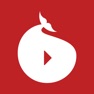 Get Playtvak.cz for iOS, iPhone, iPad Aso Report