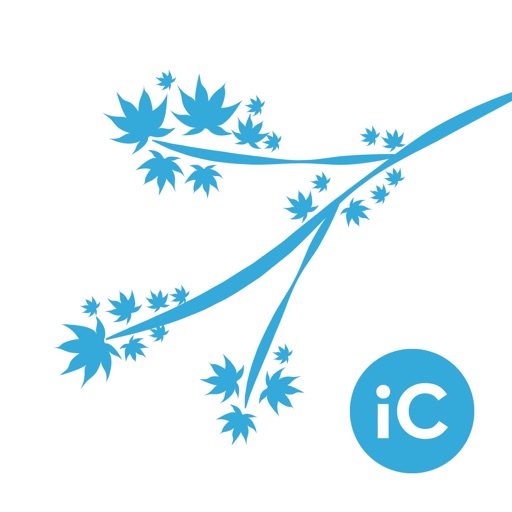 iC Brushes - Brushes Exporter for iColorama