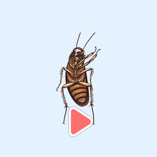 Moving Cockroach - Animated Gif Stickers