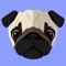 Finally a great personalised app for your Pug