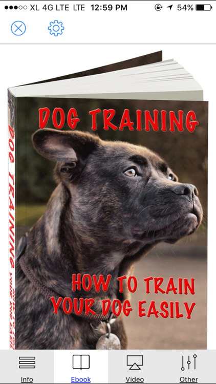 Dog Training - How To Train Your Dog Easily+