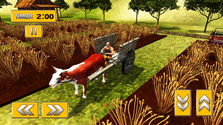 Offroad Bull Cart Hill Rider & Bullock Riding Sim