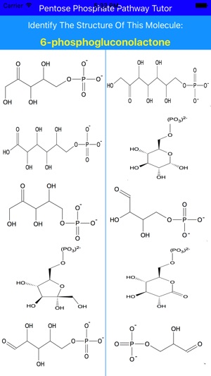 Pentose Phosphate Pathway Tutor(圖4)-速報App