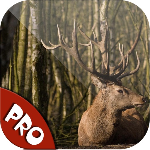 Easy Deer Hunting Calls Pro: Finest Hunting Calls