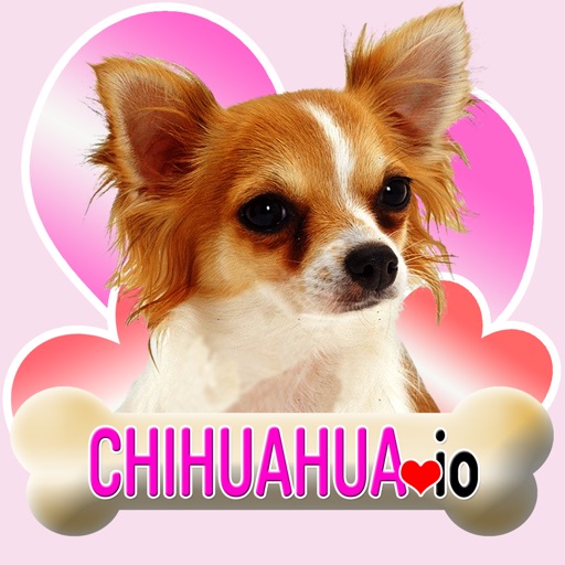 Chihuahua io (opoly) icon