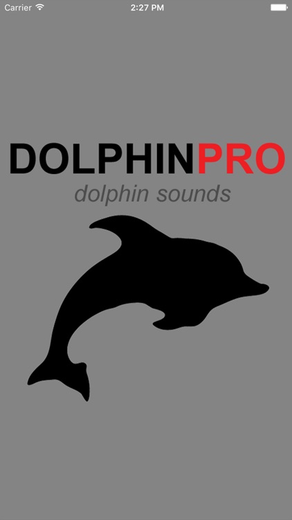 Dolphin Sounds & Whales