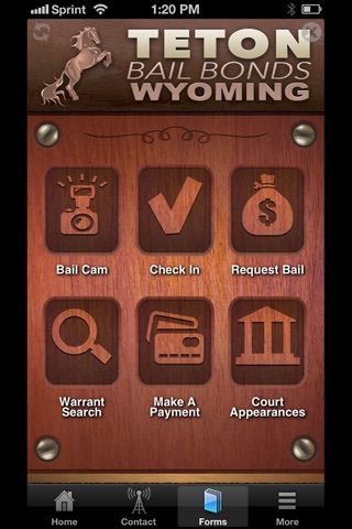 Wyoming Bail screenshot 3