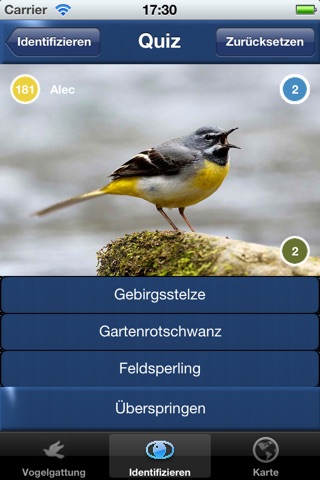 Vogel Id Gartenvögel bestimmen screenshot 4