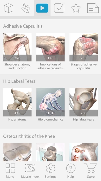 Muscle Premium - Human Anatomy, Kinesiology, Bones screenshot-4