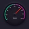 Speedometer for Driver is built for you, the driver