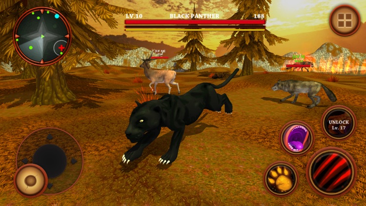 Black Panther Simulator - Wild Animals Survival 3D screenshot-3