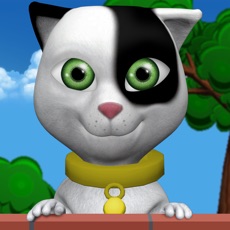 Activities of Talking Baby Cat Max Pet Games