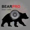 Bear Hunting Calls for Big Game Hunting
