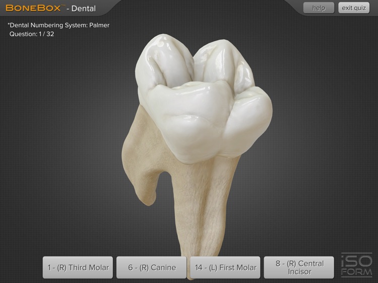 BoneBox™ - Dental Pro screenshot-4