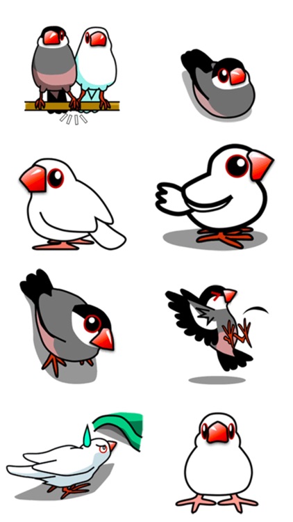 Bird Love! screenshot-3