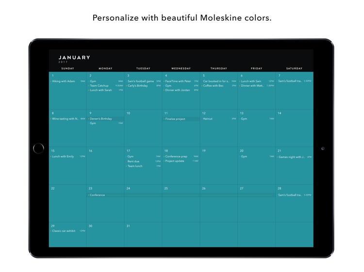 Timepage for iPad – Calendar by Moleskine screenshot-3