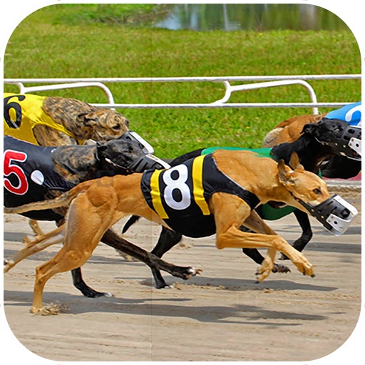 Dog Racing Simulator : New Free Adventures Race Icon