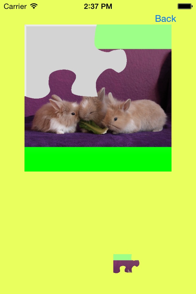 Baby Rabbits Jigsaw Puzzles screenshot 2