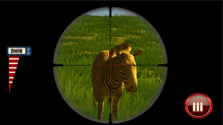 Wild Zebra Hunting Simulator