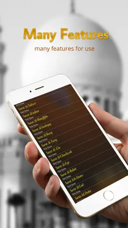 Game screenshot Holy Quran - Mishary Rashid Alafasy - offline hack