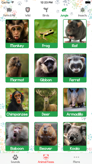 Animal Sounds and Pictures for Baby(圖3)-速報App