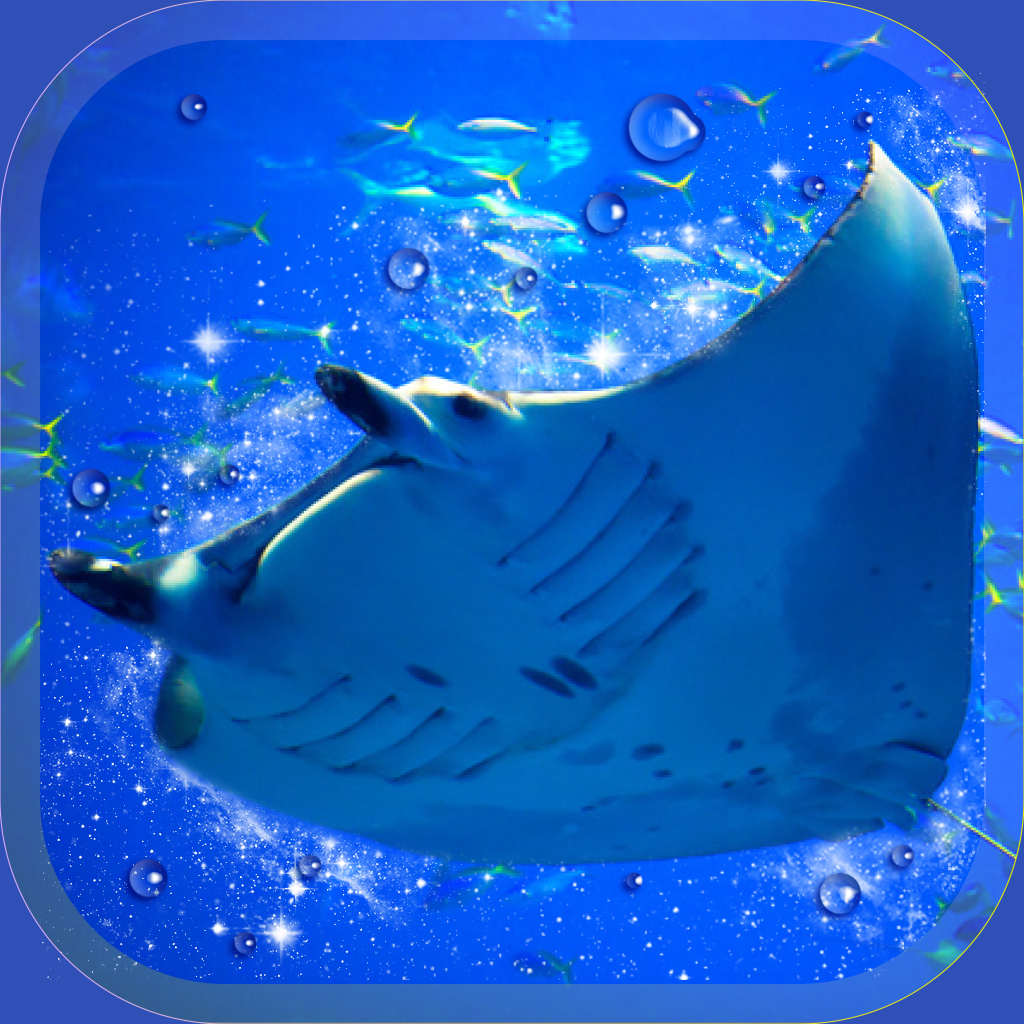 美しいマンタ育成ゲーム 無料の水族館育成ゲームアプリ Iphoneアプリ Applion