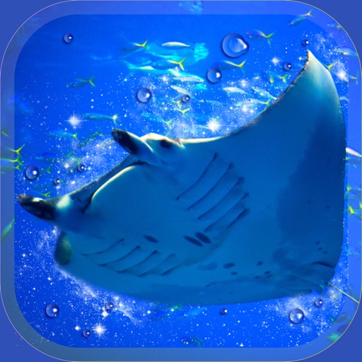 美しいマンタ育成ゲーム-無料の水族館育成ゲームアプリ-