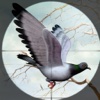 Gun Shooter Spy Pigeon Wargames