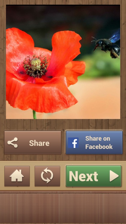 Fun Puzzle Games screenshot-4