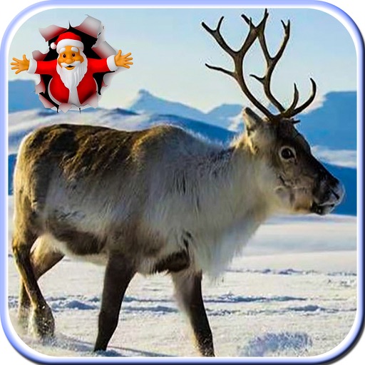 2017 Santa's Christmas Reindeer Hunting Game icon