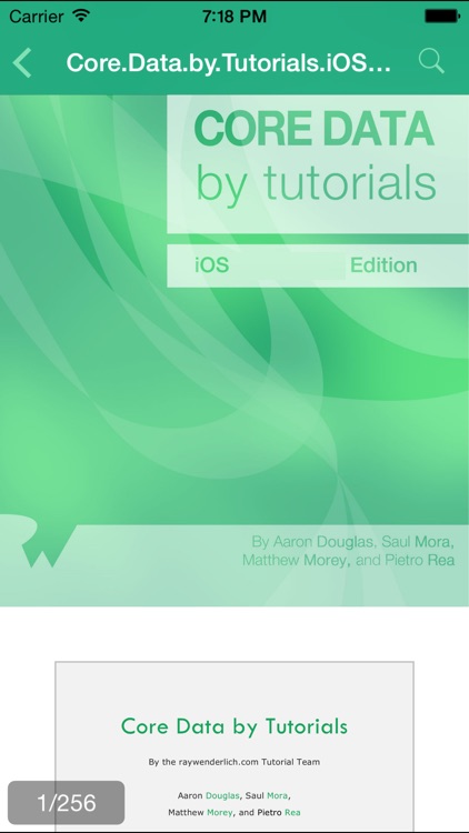 PDF Reader - Simplified Version