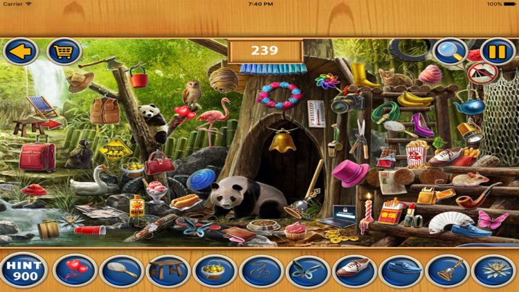 Free Hidden Objects : Leap Day screenshot-4