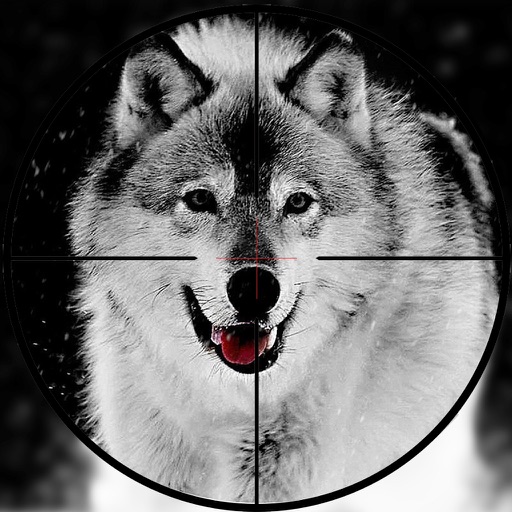 Real Wolf Hunter 2017 icon