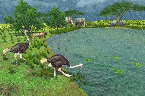 Furious  Ostrich Simulator screenshot 2