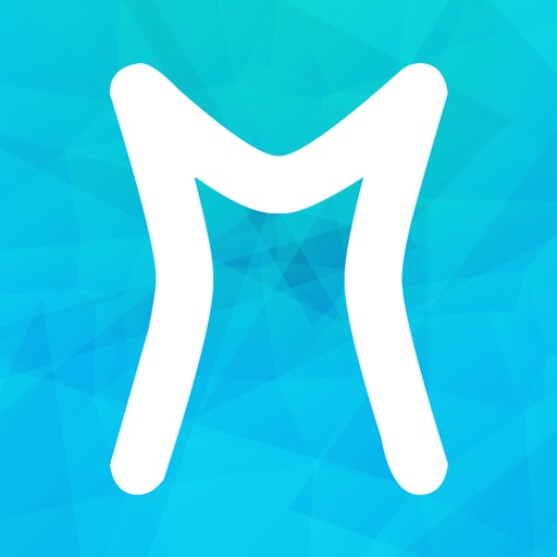 Metwork