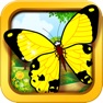 Get Butterfly baby games - learn with kids color game for iOS, iPhone, iPad Aso Report