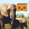 MEET AN ELEPHANT IN VIRTUAL REALITY