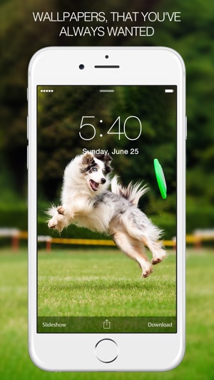 Dog Wallpapers & Pictures – Cute Dogs(圖1)-速報App