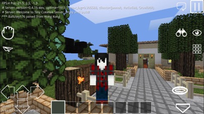 WorldCraft 3D screenshot 4