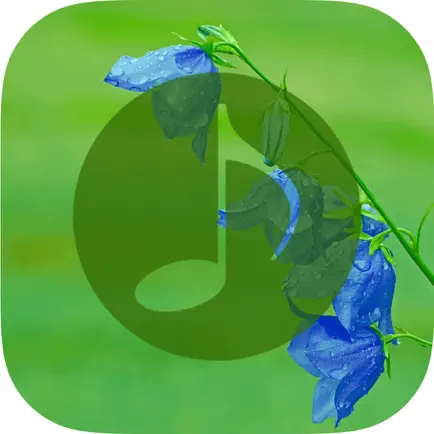 Nature Sounds - Nature Music, Relaxing Sounds Cheats