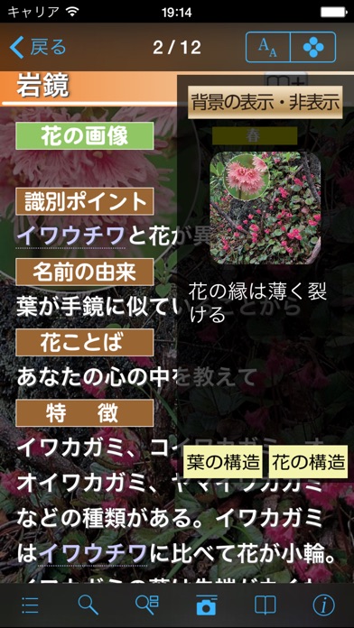 季節の野草・山草図鑑 screenshot1