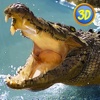 African Crocodile Attack 3D