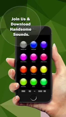 Game screenshot Ultimate Birds Soundboard app hack