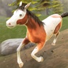 My Riding Wild Horse: The Jumping Adventure
