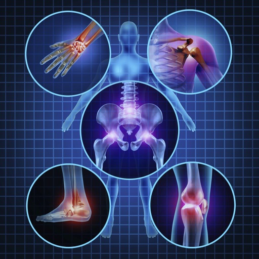 Medical Anatomy Reference