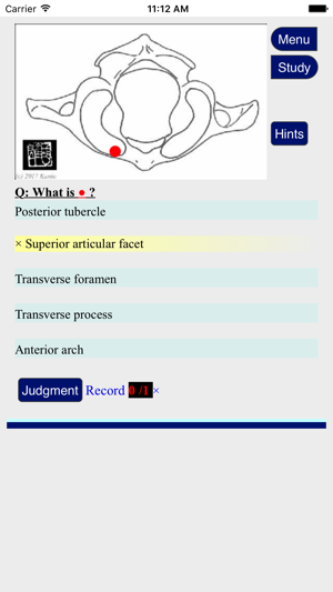 Kunio BootCamp Training, Bones and Ligaments(圖3)-速報App