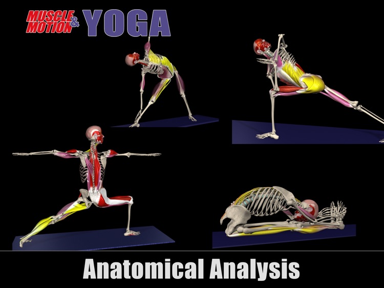 Muscle and Motion Yoga