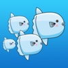 Cute Ocean Sunfish - Mola Mola Sticker