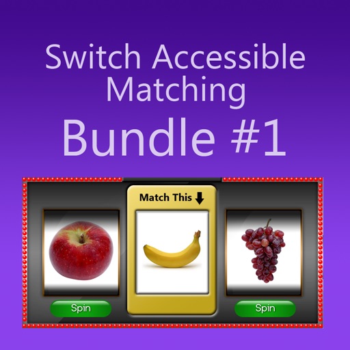 Switch Accessible Matching - Bundle #1