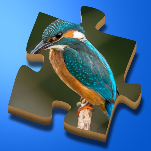 Super Jigsaws Birds